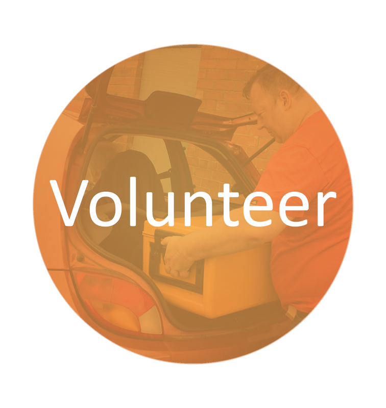 Button linking to Volunteer page